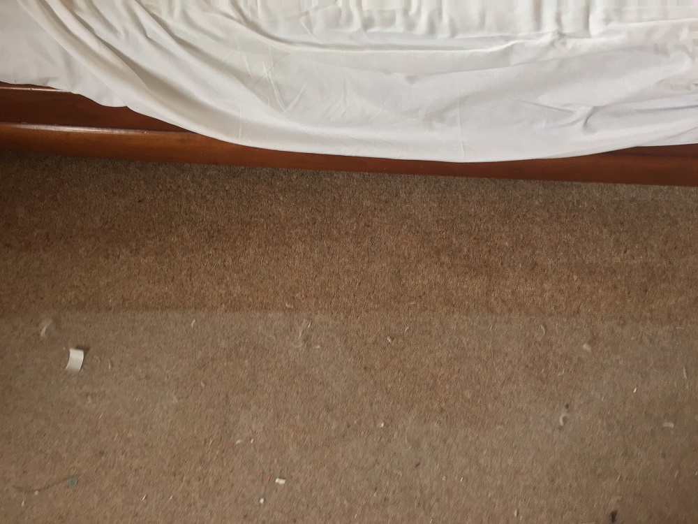 Dust under bed causes sleepness nights, your carpets need cleaning